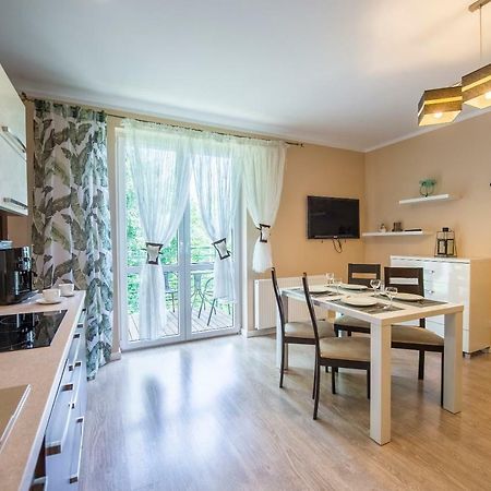 Apartament Brzozowy Zakatek - 5D Apartamenty Świeradów-Zdrój エクステリア 写真