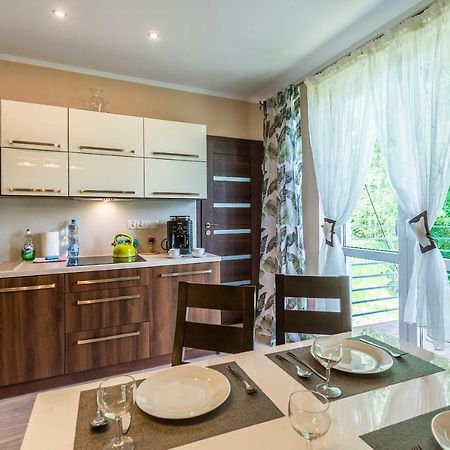 Apartament Brzozowy Zakatek - 5D Apartamenty Świeradów-Zdrój エクステリア 写真