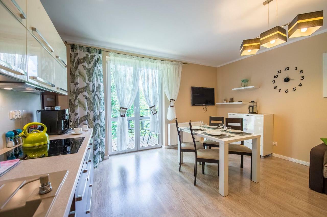 Apartament Brzozowy Zakatek - 5D Apartamenty Świeradów-Zdrój エクステリア 写真