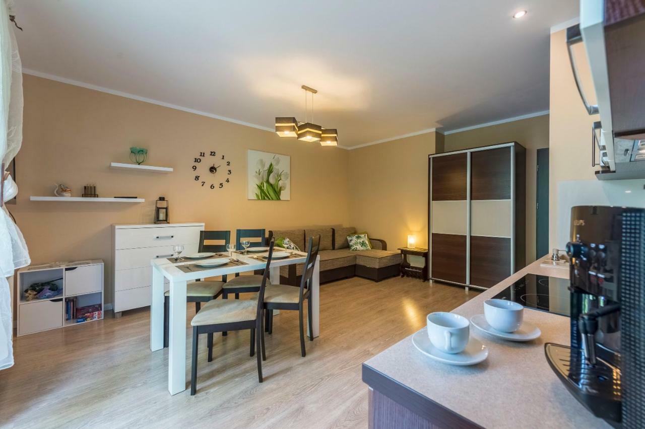 Apartament Brzozowy Zakatek - 5D Apartamenty Świeradów-Zdrój エクステリア 写真